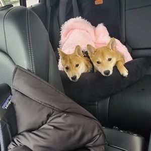 Meet your Posher, Jen